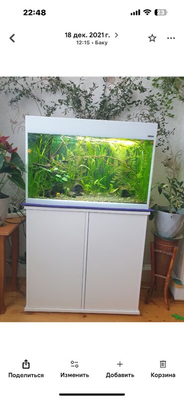 İtlər: Dördbucaq akvarium, Boş, 120 l, Ünvandan götürmə