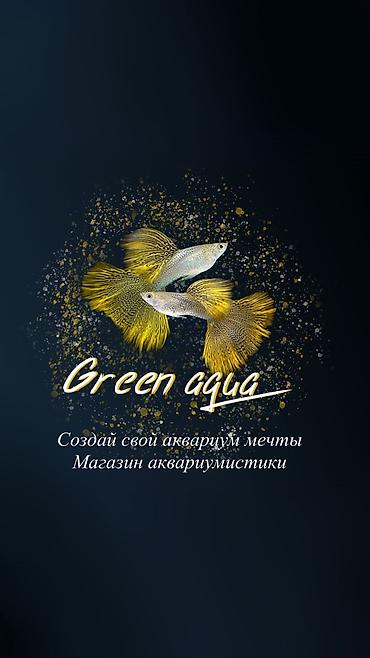 Аквариумы: Магазин аквариумистики В ассортименте большой выбор аквариумных — 1