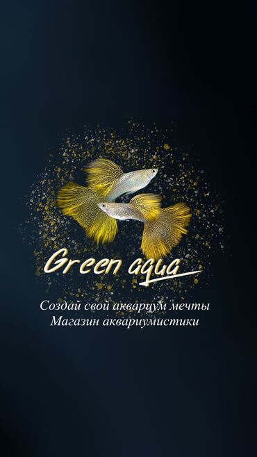 купить щенка немецкой овчарки из питомника: Магазин аквариумистики🐋 В продаже имеется большой выбор рыб