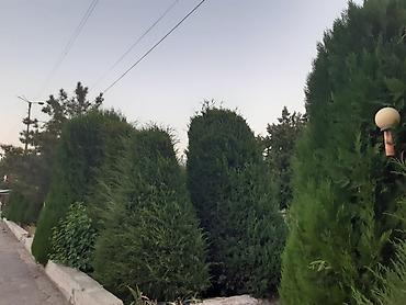 Посуточная аренда квартир: 1 комната, Постельное белье, Парковка, Бронь — 23