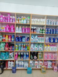 Bitkilər: Vitrin mebeli Ela veziyyetdedi Sokulu veziyyetdedir Bes ay qabaq