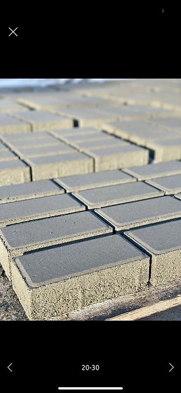 Тротуарная плитка: Тротуарная плитка (бетонная) Прессованный Элитный Мрамор бордюры лотки — 15