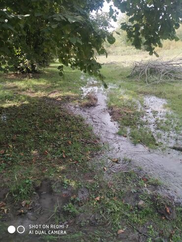 Torpaq sahələrinin satışı: 300 sot, Kənd təsərrüfatı, Mülkiyyətçi, Kupça (Çıxarış)