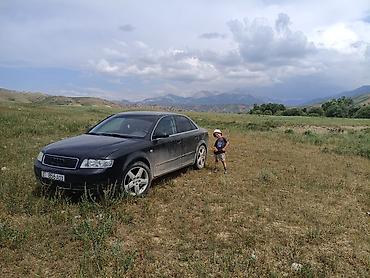 audi 4: Audi A4: 2003 г., 1.9 л, Механика, Дизель, Седан — 3