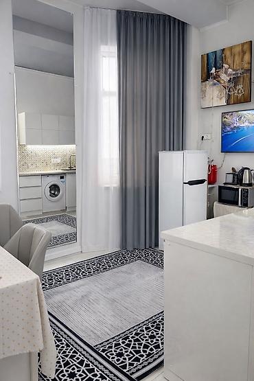 Продажа квартир: 3 комнаты, 56 м², Элитка, 1 этаж, Евроремонт — 29