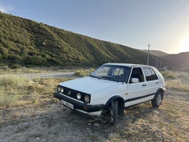 шина дордой: Volkswagen Golf: 1992 г., 1.8 л, Механика, Бензин, Хетчбек