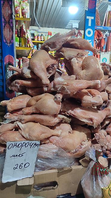 Курица: Продаются оптом и розницы ОКОРОЧКА,переполох,ИНДЕЙКИ горбуша,минтай — 22