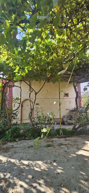 Torpaq sahələrinin satışı: 48 sot, Kənd təsərrüfatı, Kupça (Çıxarış) — 25