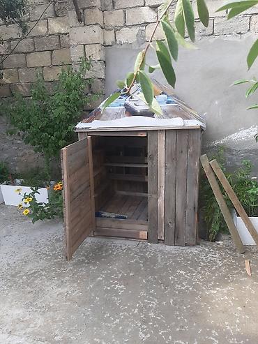 göyərçin satışı: Yuva satilir unvan visnofka isteyen elaqe saxlasin temiz taxtadan — 2