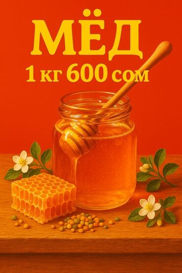 чистый мед цена: Продаю натуральный Ат башинский мед, без всяких добавок. Подходит для