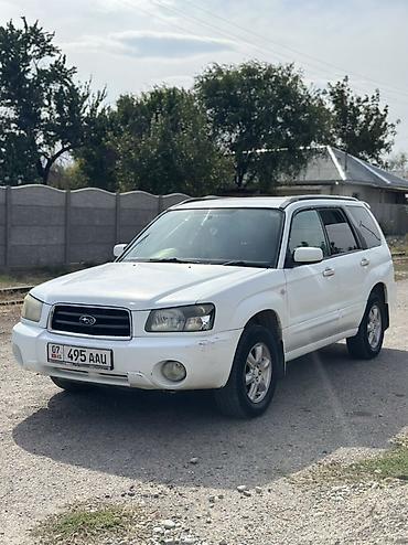 Subaru Forester: 2004 г., 2 л, Автомат, Бензин, Кроссовер