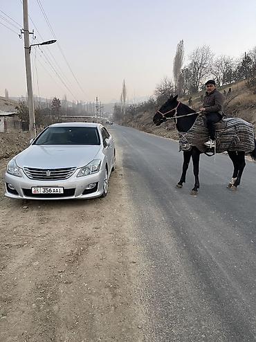 краун 2007: Toyota Crown: 2008 г., 3.5 л, Автомат, Гибрид, Седан — 9