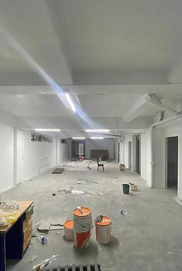 Покраска: Декоративная покраска, Покраска ворот, Покраска дверей, На водной основе, На масляной основе, Больше 6 лет опыта — 22