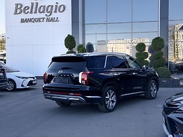 мини зеркало: Hyundai Palisade: 2019 г., 2.2 л, Автомат, Дизель, Кроссовер — 5