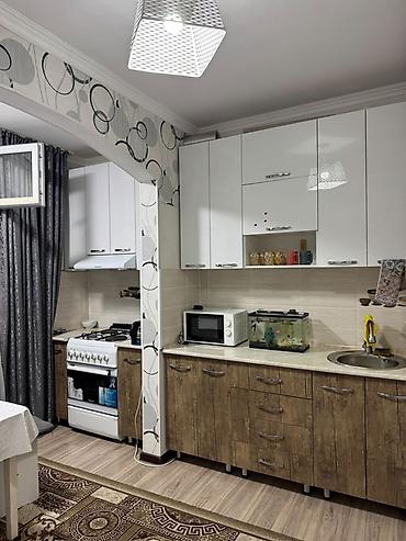 свердловский район: 1 комната, 45 м², Кок-Жар мкр 106 серия улучшенная, 6 этаж, Евроремонт — 4