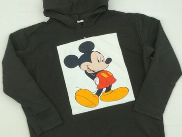 maklowicz koszulka: Bluza, Disney, 14 lat, 158-164 cm, stan - Bardzo dobry