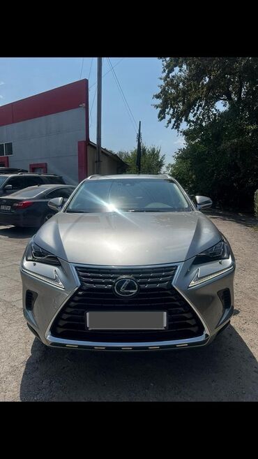 Lexus: Lexus NX: 2019 г., 2.5 л, Автомат, Гибрид, Кроссовер — 3