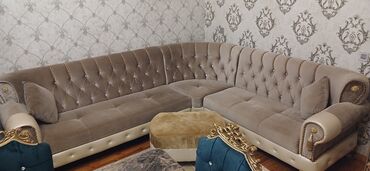 Bitkilər: İşlənmiş, Künc divan, Pufik, Açılmayan lalafo.az -da Bitkilər: İşlənmiş, Künc divan, Pufik, Açılmayan