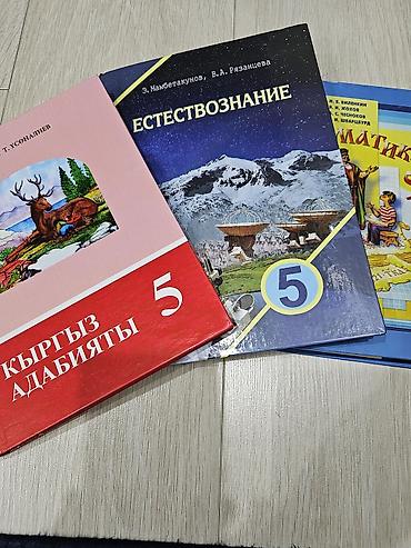 solutions intermediate: Комплект учебников для 5 класса. В набор входят: - «Кыргыз адабияты — 1