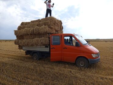 купить мотор мерседес 2.2 дизель: Грузовой микроавтобус Mercedes-Benz Sprinter 312D оранжевого цвета