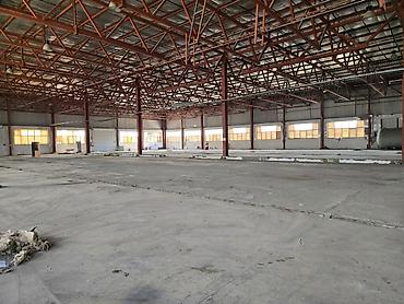 Коммерческая недвижимость: İcarəyə Anbar Kompleksi – Bakı, Xocasən Ümumi sahə: - 4000 m² anbar — 7