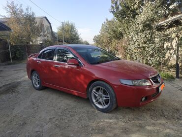 тайота сяна: Honda Accord: 2003 г., 2.4 л, Механика, Бензин, Седан