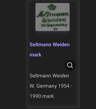 Kuhinjski setovi: Tanjiri Seltmann Weiden 1954g +. Namacki tanjiri Seltmann — 16