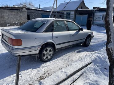 Audi: Audi 100: 1993 г., 1.9 л, Механика, Дизель, Седан