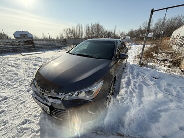 195 55 r16: Toyota Camry: 2015 г., 2.5 л, Автомат, Бензин, Седан