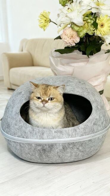 домики для кошек: Закрытый домик-лежанка для кошек - Тип: уютная