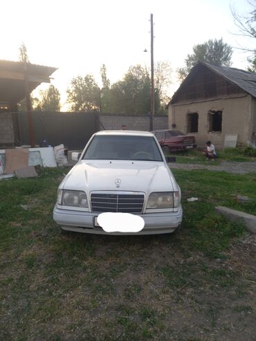 Mercedes-Benz: Mercedes-Benz W124: 1993 г., 3 л, Автомат, Дизель, Седан