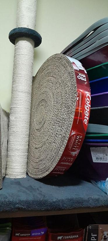 Зоотовары: Зачем кошке когтеточка? Первая причина — это гигиена, А — 6