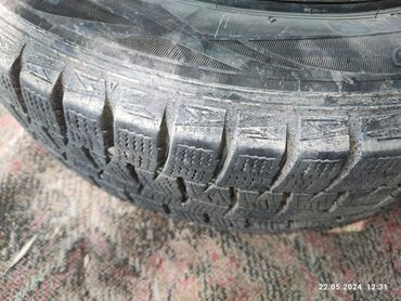 колесо r12: Шины 175 / 65 / R 14, Зима, Б/у, Комплект, Легковые, Япония, Dunlop