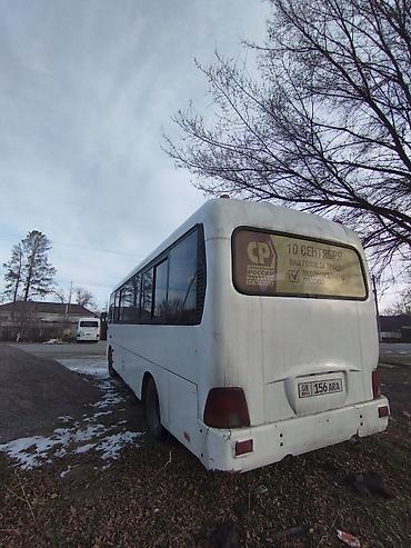 рексон хан: Hyundai : 2010 г., Механика, Дизель, Бус — 9