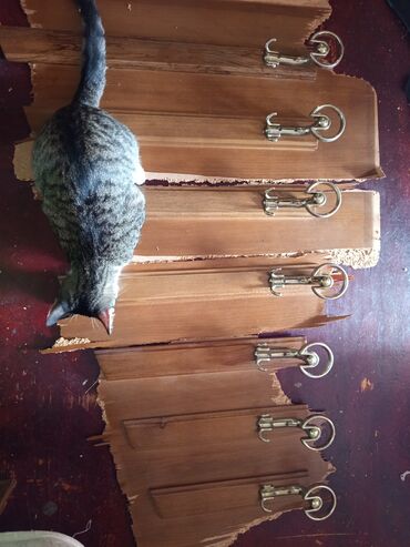 Asılqanlar: Sovetden qalma,qedimi qarderobun, taxta ve polad asilqani — 16