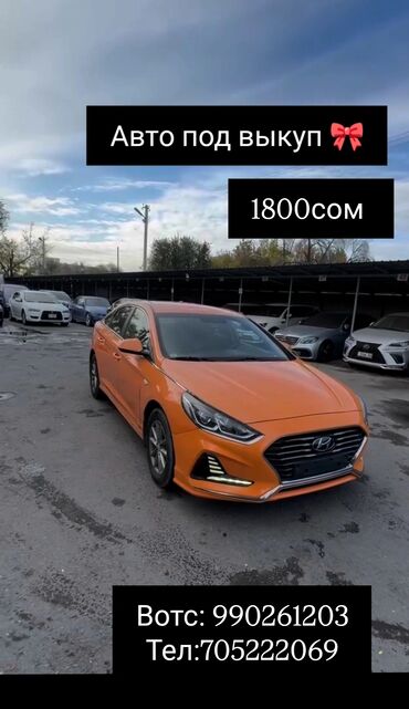 Hyundai: Hyundai Sonata: 2019 г., 2 л, Автомат, Газ, Седан