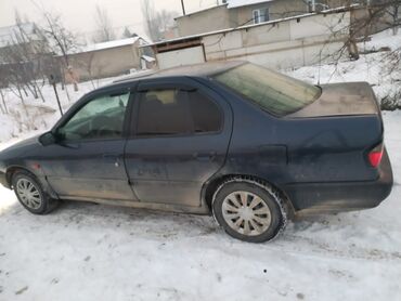 nissan альмера: Nissan Almera: 1995 г., 1.6 л, Механика, Бензин, Седан