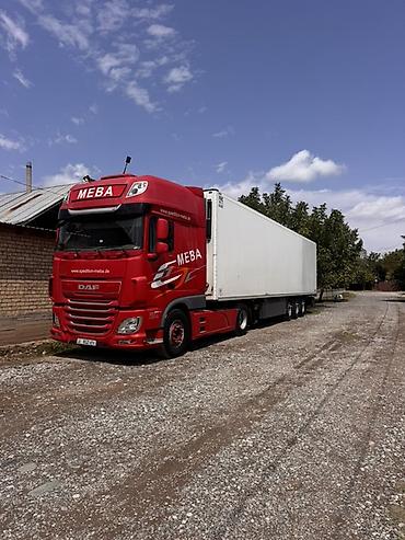 авто фрион: Тягач, DAF, Холодильник, рефрижератор — 1
