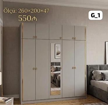paltar dolabları: G_1 model paltar dolabı - Ölçü: 260 × 200 × 47 sm - Rəng: açıq boz - — 1