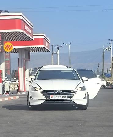 корейский мопед: Hyundai Sonata: 2019 г., 2 л, Автомат, Бензин, Седан — 1