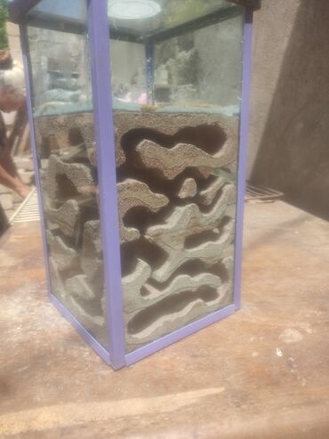 Heyvanlar üçün digər mallar: Hər ölçüdə hər dizaynda qarışqa yuvaları yığılır səliqəli və təmiz — 24