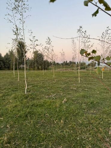 Продажа участков: 1700 соток, Для бизнеса, Красная книга — 13