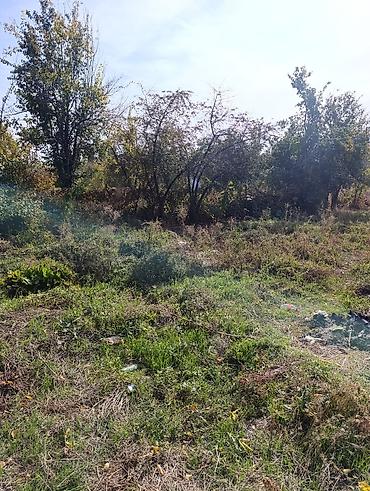 Продажа коттеджей и домов: 📌В селе Беловодское в районе центра продается дом из 4-х комнат на at lalafo.kg — 14 Продажа коттеджей и домов: 📌В селе Беловодское в районе центра продается дом из 4-х комнат на — 14