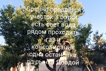 раздольный участок: Земельный участок площадью 3 сотки предлагается к продаже. На участке