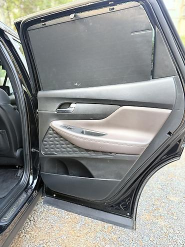 byd bot 384: Hyundai Santa Fe: 2022 г., 1.6 л, Автомат, Гибрид, Кроссовер — 9