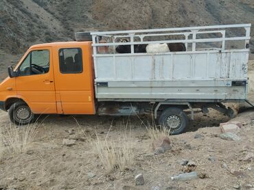 Mercedes-Benz: Mercedes-Benz Спринтер: 1998 г., 2.9 л, Механика, Дизель, Бус — 2