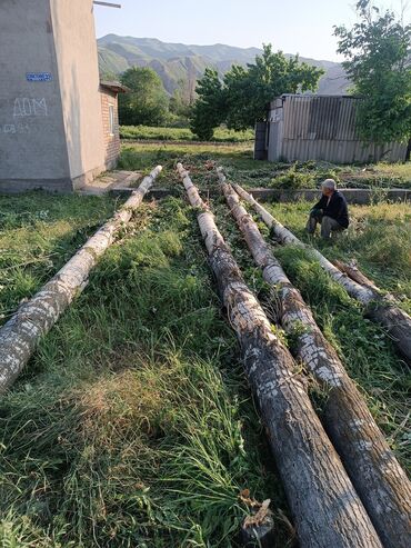 Дрова: Дрова Самовывоз