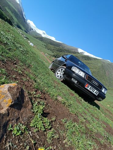 ауди аван: Audi 100: 1991 г., 2 л, Механика, Бензин, Седан