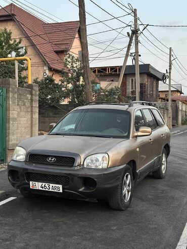 хундай элентра 2003: Hyundai Santa Fe: 2003 г., 2.7 л, Автомат, Газ, Вэн/Минивэн