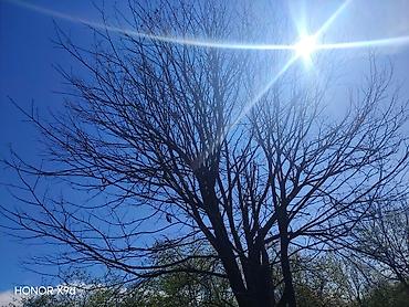 Torpaq sahələrinin satışı: Azərbaycanın ən gözəl guşələrindən biri olan Oğuz rayonu Xaçmaz — 20